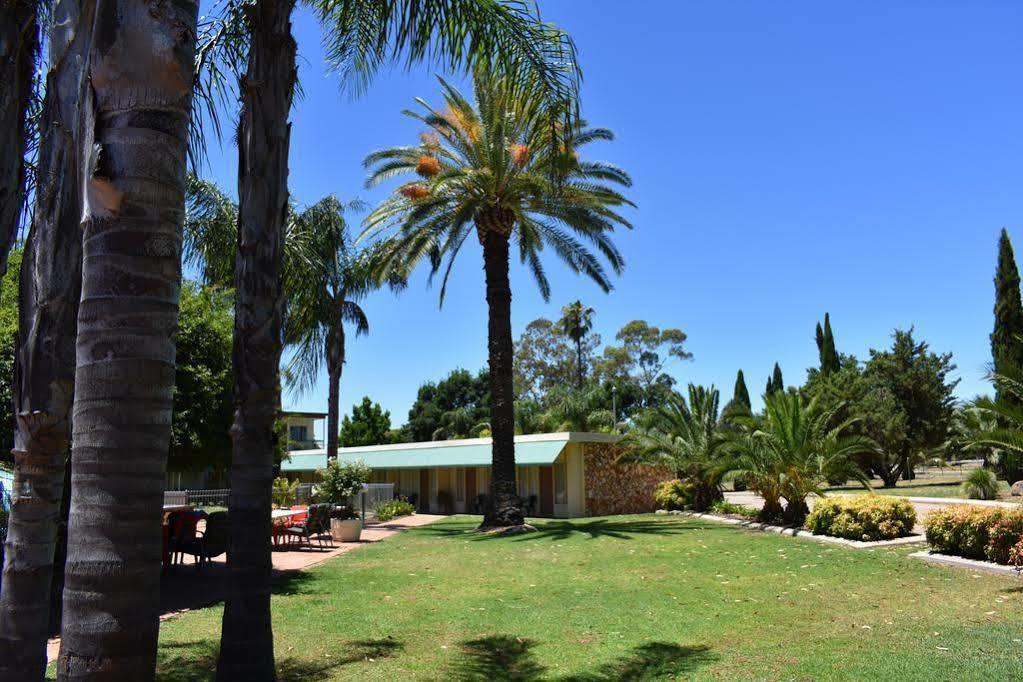 里弗赖纳汽车旅馆 Leeton 外观 照片